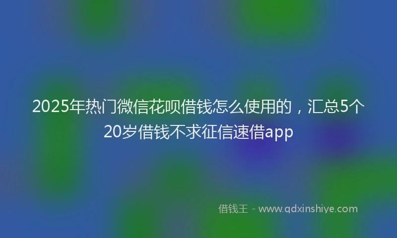 2025年热门微信花呗借钱怎么使用的，汇总5个20岁借钱不求征信速借app