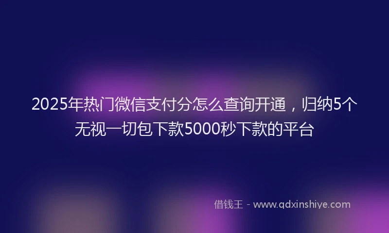 2025年热门微信支付分怎么查询开通，归纳5个无视一切包下款5000秒下款的平台