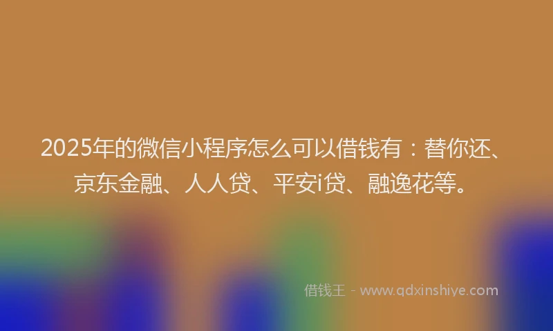 2025年的微信小程序怎么可以借钱有：替你还、京东金融、人人贷、平安i贷、融逸花等。