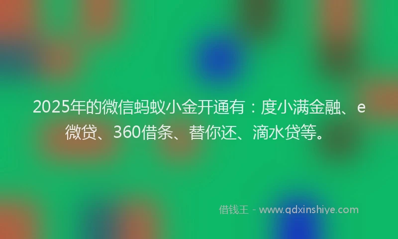 2025年的微信蚂蚁小金开通有：度小满金融、e微贷、360借条、替你还、滴水贷等。