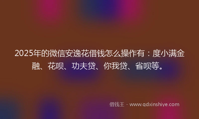 2025年的微信安逸花借钱怎么操作有：度小满金融、花呗、功夫贷、你我贷、省呗等。