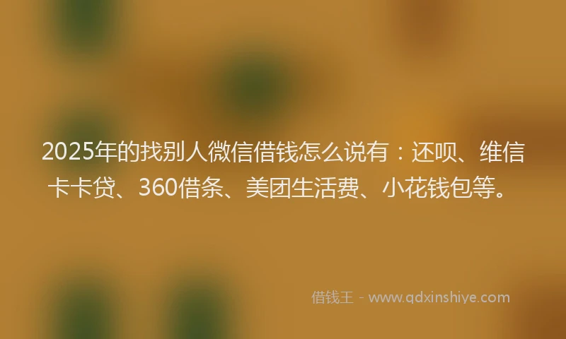 2025年的找别人微信借钱怎么说有：还呗、维信卡卡贷、360借条、美团生活费、小花钱包等。