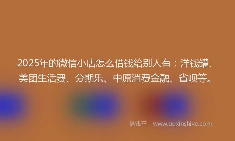 2025年的微信小店怎么借钱给别人有：洋钱罐、美团生活费、分期乐、中原消费金融、省呗等。
