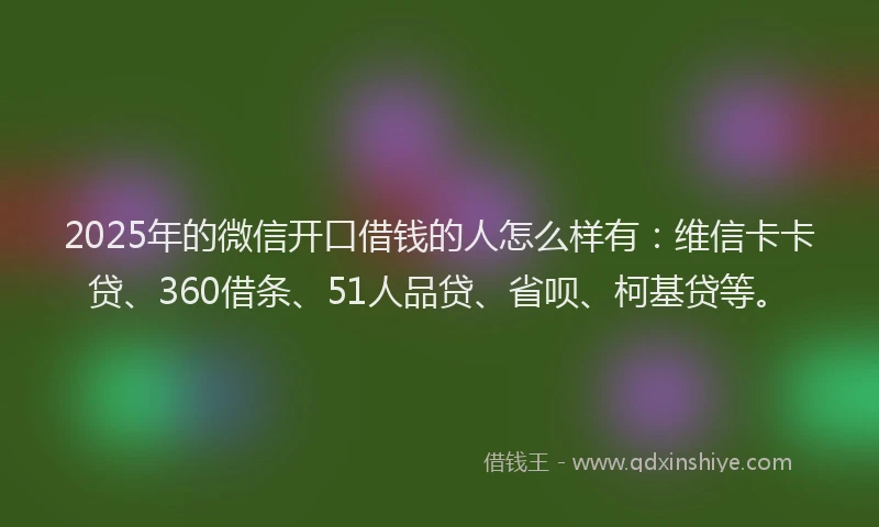2025年的微信开口借钱的人怎么样有：维信卡卡贷、360借条、51人品贷、省呗、柯基贷等。