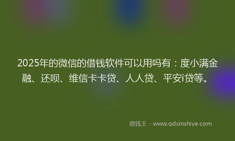 2025年的微信的借钱软件可以用吗有：度小满金融、还呗、维信卡卡贷、人人贷、平安i贷等。
