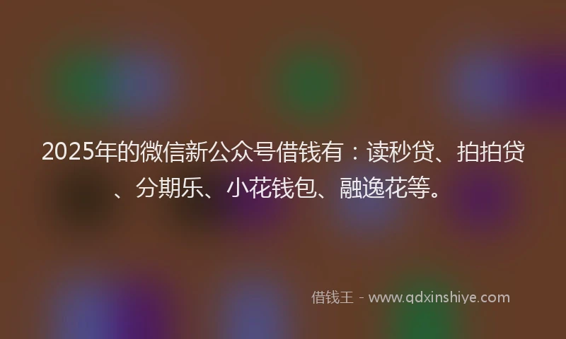2025年的微信新公众号借钱有：读秒贷、拍拍贷、分期乐、小花钱包、融逸花等。