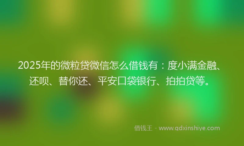 2025年的微粒贷微信怎么借钱有：度小满金融、还呗、替你还、平安口袋银行、拍拍贷等。