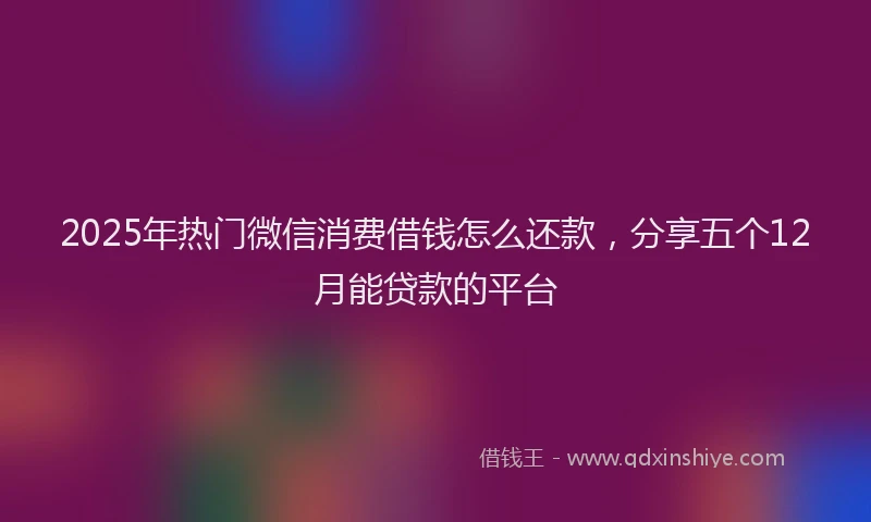 2025年热门微信消费借钱怎么还款，分享五个12月能贷款的平台