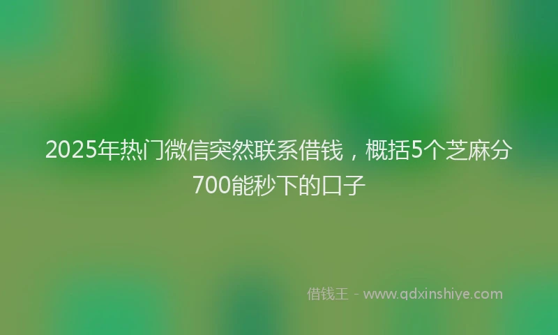 2025年热门微信突然联系借钱，概括5个芝麻分700能秒下的口子