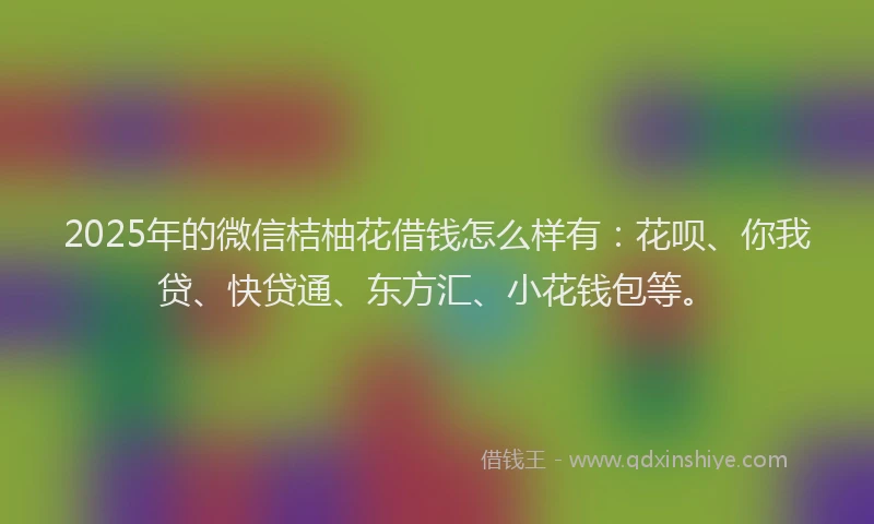 2025年的微信桔柚花借钱怎么样有：花呗、你我贷、快贷通、东方汇、小花钱包等。