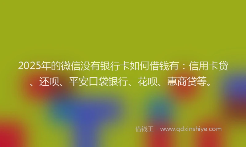 2025年的微信没有银行卡如何借钱有：信用卡贷、还呗、平安口袋银行、花呗、惠商贷等。