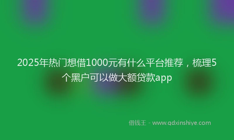 2025年热门想借1000元有什么平台推荐，梳理5个黑户可以做大额贷款app