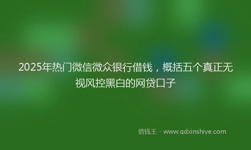 2025年热门微信微众银行借钱，概括五个真正无视风控黑白的网贷口子
