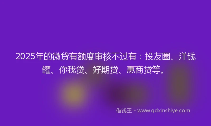 2025年的微贷有额度审核不过有：投友圈、洋钱罐、你我贷、好期贷、惠商贷等。