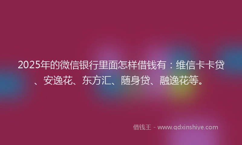 2025年的微信银行里面怎样借钱有：维信卡卡贷、安逸花、东方汇、随身贷、融逸花等。