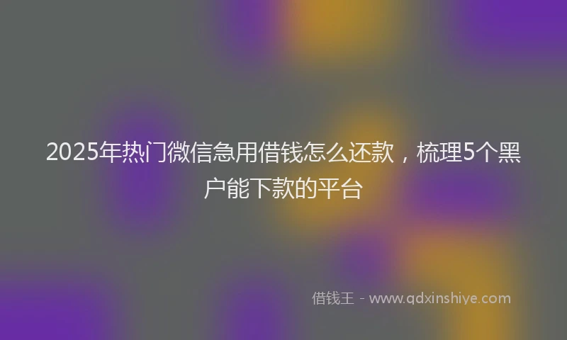 2025年热门微信急用借钱怎么还款，梳理5个黑户能下款的平台