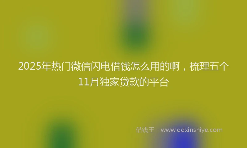 2025年热门微信闪电借钱怎么用的啊，梳理五个11月独家贷款的平台