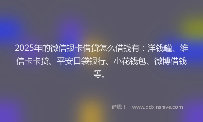 2025年的微信银卡借贷怎么借钱有：洋钱罐、维信卡卡贷、平安口袋银行、小花钱包、微博借钱等。