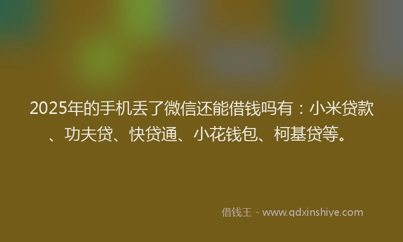 2025年的手机丢了微信还能借钱吗有：小米贷款、功夫贷、快贷通、小花钱包、柯基贷等。