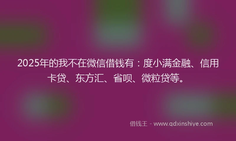 2025年的我不在微信借钱有：度小满金融、信用卡贷、东方汇、省呗、微粒贷等。