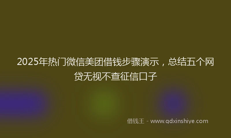 2025年热门微信美团借钱步骤演示，总结五个网贷无视不查征信口子