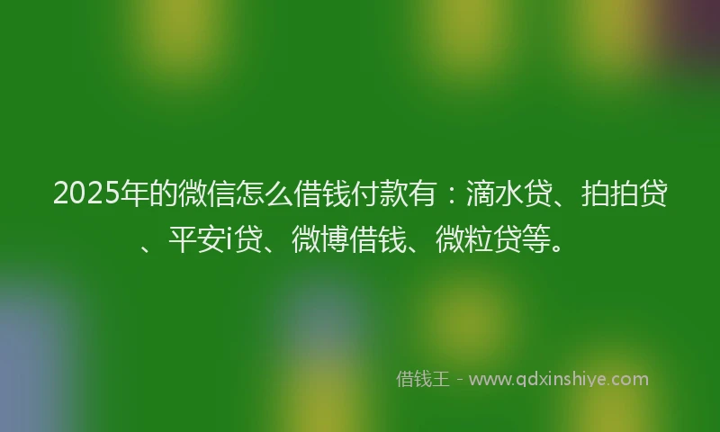 2025年的微信怎么借钱付款有：滴水贷、拍拍贷、平安i贷、微博借钱、微粒贷等。