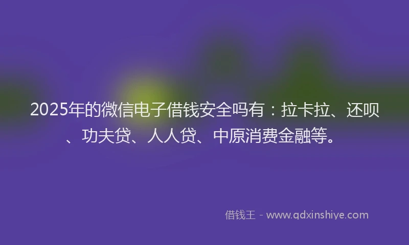 2025年的微信电子借钱安全吗有：拉卡拉、还呗、功夫贷、人人贷、中原消费金融等。
