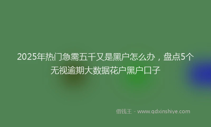 2025年热门急需五千又是黑户怎么办，盘点5个无视逾期大数据花户黑户口子