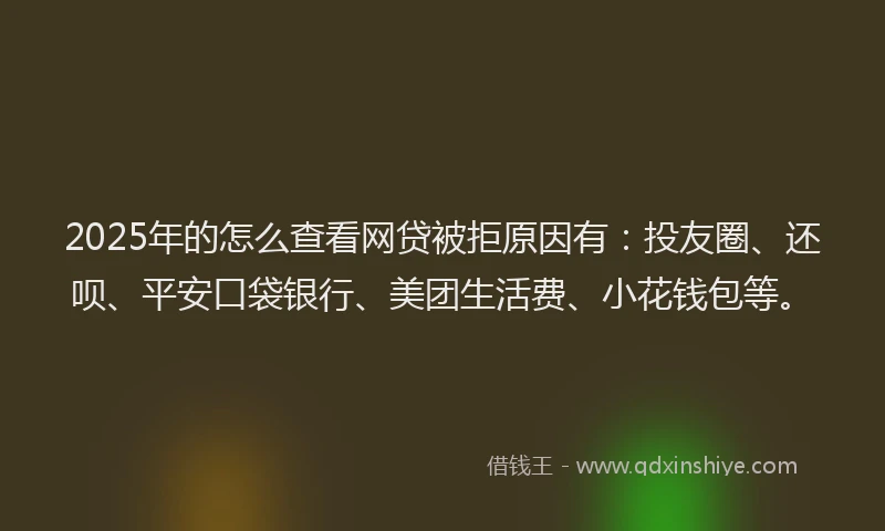 2025年的怎么查看网贷被拒原因有：投友圈、还呗、平安口袋银行、美团生活费、小花钱包等。