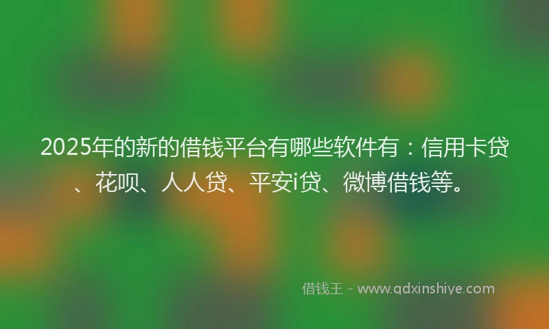 2025年的新的借钱平台有哪些软件有：信用卡贷、花呗、人人贷、平安i贷、微博借钱等。