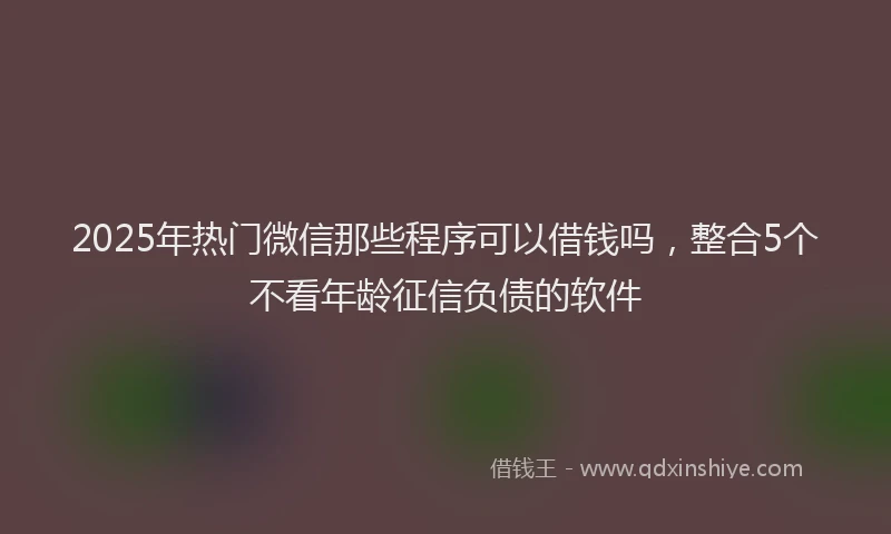 2025年热门微信那些程序可以借钱吗，整合5个不看年龄征信负债的软件