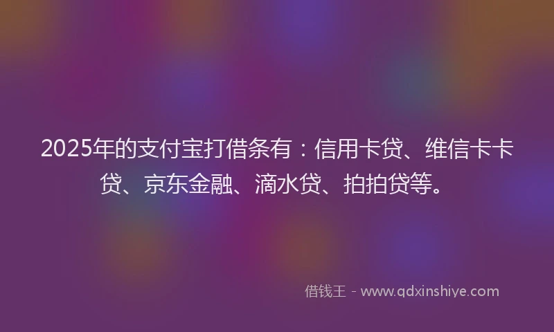 2025年的支付宝打借条有：信用卡贷、维信卡卡贷、京东金融、滴水贷、拍拍贷等。