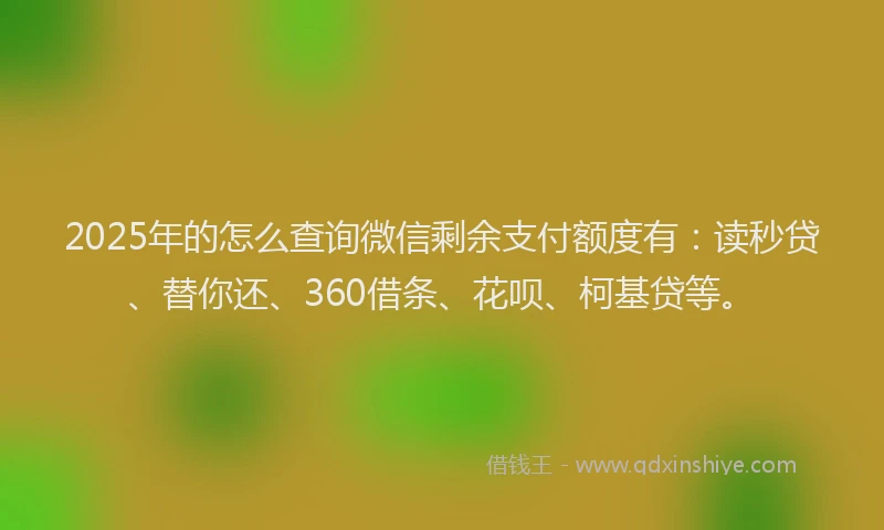 2025年的怎么查询微信剩余支付额度有：读秒贷、替你还、360借条、花呗、柯基贷等。