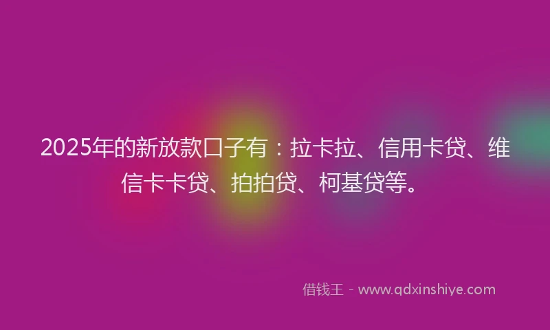 2025年的新放款口子有：拉卡拉、信用卡贷、维信卡卡贷、拍拍贷、柯基贷等。