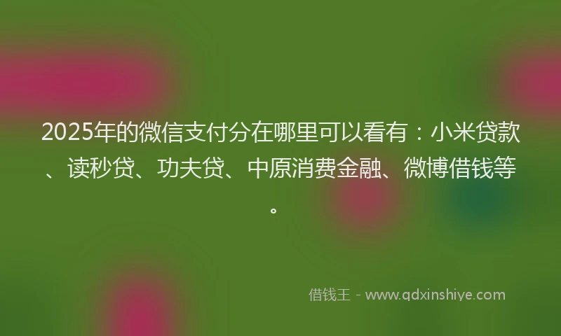 2025年的微信支付分在哪里可以看有：小米贷款、读秒贷、功夫贷、中原消费金融、微博借钱等。