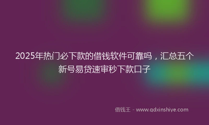 2025年热门必下款的借钱软件可靠吗，汇总五个新号易贷速审秒下款口子