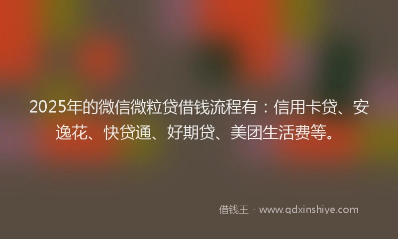2025年的微信微粒贷借钱流程有：信用卡贷、安逸花、快贷通、好期贷、美团生活费等。