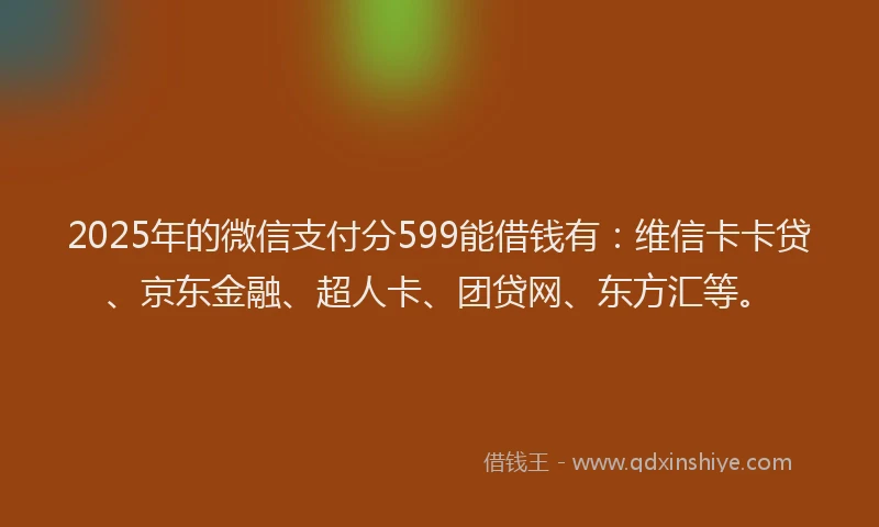 2025年的微信支付分599能借钱有：维信卡卡贷、京东金融、超人卡、团贷网、东方汇等。