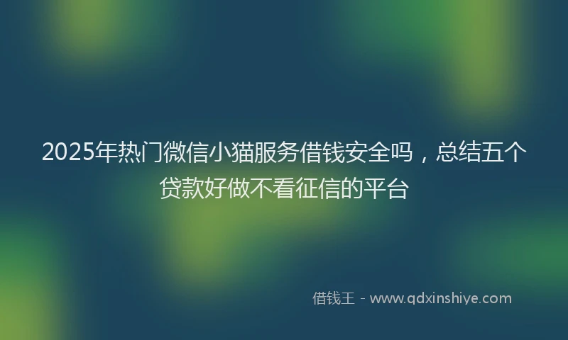 2025年热门微信小猫服务借钱安全吗，总结五个贷款好做不看征信的平台