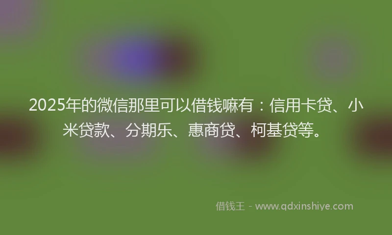2025年的微信那里可以借钱嘛有：信用卡贷、小米贷款、分期乐、惠商贷、柯基贷等。