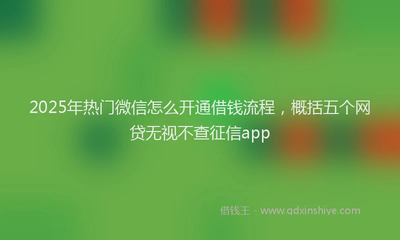 2025年热门微信怎么开通借钱流程，概括五个网贷无视不查征信app