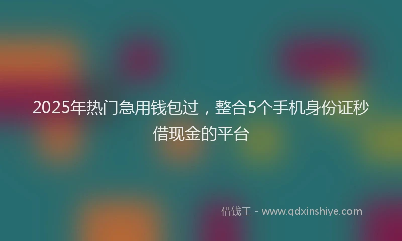 2025年热门急用钱包过，整合5个手机身份证秒借现金的平台