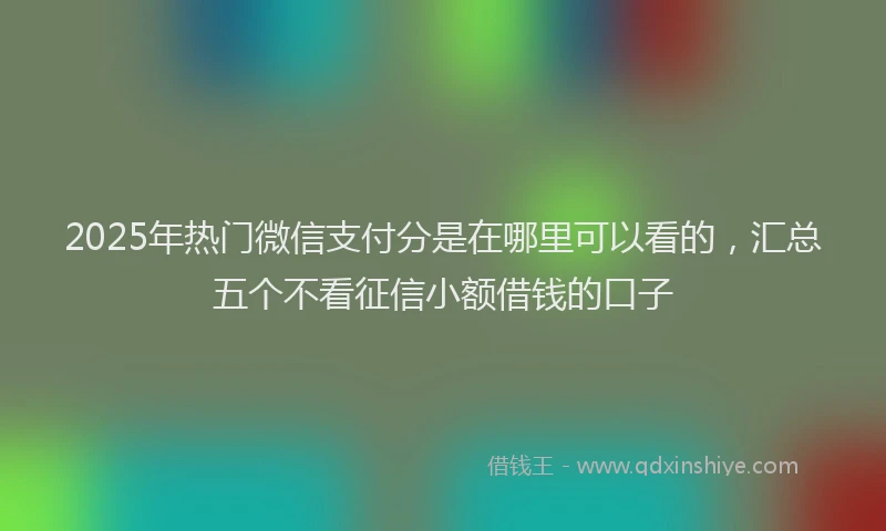 2025年热门微信支付分是在哪里可以看的，汇总五个不看征信小额借钱的口子
