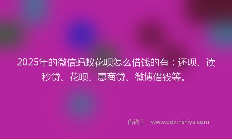 2025年的微信蚂蚁花呗怎么借钱的有：还呗、读秒贷、花呗、惠商贷、微博借钱等。