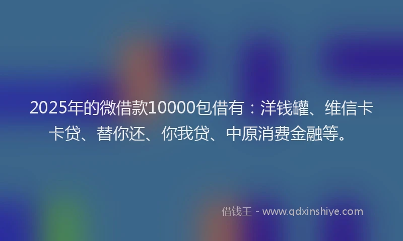 2025年的微借款10000包借有：洋钱罐、维信卡卡贷、替你还、你我贷、中原消费金融等。