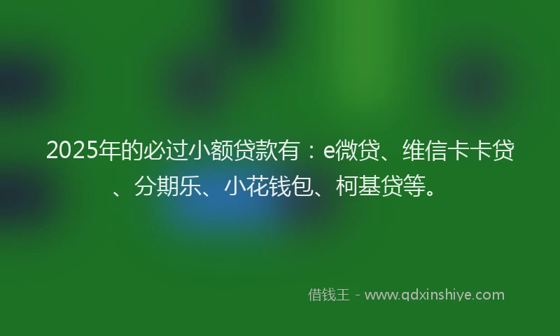 2025年的必过小额贷款有：e微贷、维信卡卡贷、分期乐、小花钱包、柯基贷等。