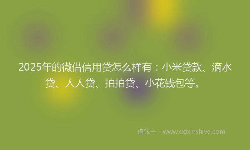 2025年的微借信用贷怎么样有：小米贷款、滴水贷、人人贷、拍拍贷、小花钱包等。
