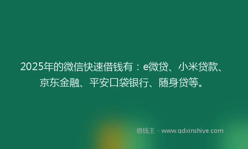 2025年的微信快速借钱有：e微贷、小米贷款、京东金融、平安口袋银行、随身贷等。