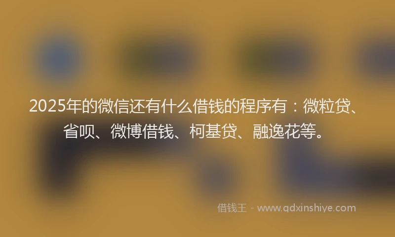2025年的微信还有什么借钱的程序有：微粒贷、省呗、微博借钱、柯基贷、融逸花等。