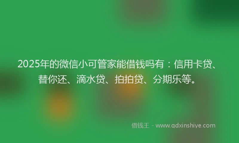 2025年的微信小可管家能借钱吗有：信用卡贷、替你还、滴水贷、拍拍贷、分期乐等。